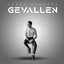 Gevallen - Single