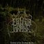 Revival of the Darkest Seeds