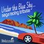 Under the Blue Sky: SEGA Racing Tribute