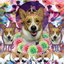 SPACE CORGI