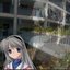 ローズマリー