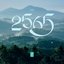 2565 - Single