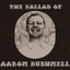 the ballad of aaron bushnell