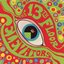 The Psychedelic Sounds of the 13th Floor Elevators