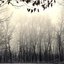 Ambient Works, Vol. 2