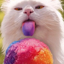 Avatar de natawik_spb