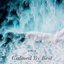 Calmed By Rest