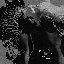 NOIRE DEMON
