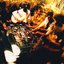 VAPOUR - Single