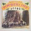 The Great Timber Rush