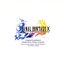 FINAL FANTASY X ORIGINAL SOUNDTRACK