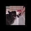 Madrid - Single