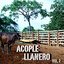 Acople Llanero Vol. 2