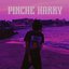 Pinche Harry - Single
