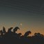 Moonlight