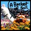 A Bucket of Soil (In the Future)