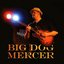 Big Dog Mercer
