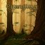 The First Fallen Leaves