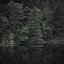 Forest Chants