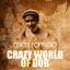 Crazy World Of Dub