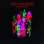 Wasting Light (Bonus Disc)