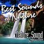 Best Sounds of Nature