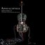 Amplified // a Decade of Reinventing the Cello (Instrumentals)