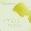 Citrus Tree