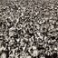 Listen Without Prejudice Vol. 1