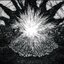 Sonic Desterilization Of Light