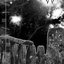 Pagan Metal