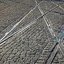 Life Trails