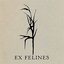 Ex Felines