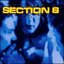 Section 8