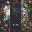 Dandelion - Single