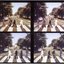 The Other Way of Crossing: Abbey Road Outtakes