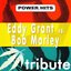 Dubble Trubble Tribute to Eddy Grant vs Bob Marley - Power Hits