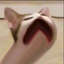 ayabxx 的头像