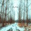 The Day Everything Begins... - Single