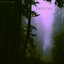 Petrichor