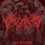 Rot in Flesh - Single