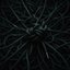Lace Entanglement