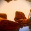 Into the Light - Single