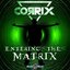 Entering the Matrix