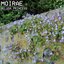Moirae