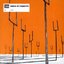 2001-Origin Of Symmetry