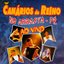 No arrasta-pé ao vivo