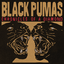 Black Pumas - Chronicles of a Diamond album artwork