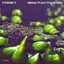 Glitter From the Snails - Single