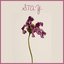 Stay